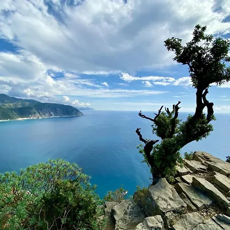 Xenia - 3rooms In Via Nazionale 93 * Sestri Levante